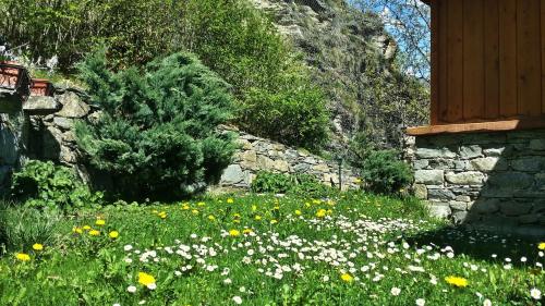 a field of flowers in front of a building at Le Renard d'Introd in Introd