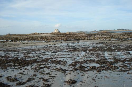 a muddy field with a rock in the background at Ti Bihan - Meublé in Santec
