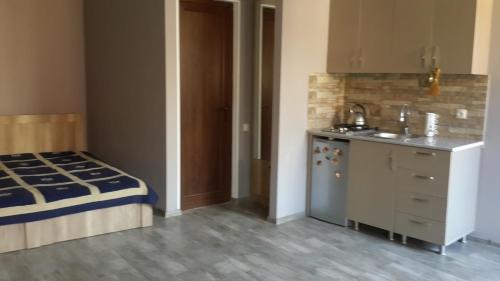 een kleine keuken met een bed en een wastafel bij Nimako's Apartment in Borjomi