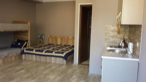 a kitchen with a bed and a sink in a room at Nimako's Apartment in Borjomi