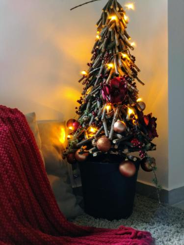 a small christmas tree in a pot with lights at Fonda Apartments in Koper