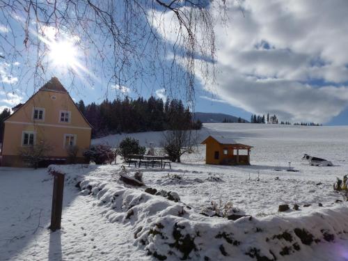 a snow covered yard with a house and a building at Ferienhaus Wohleser in Mariahof