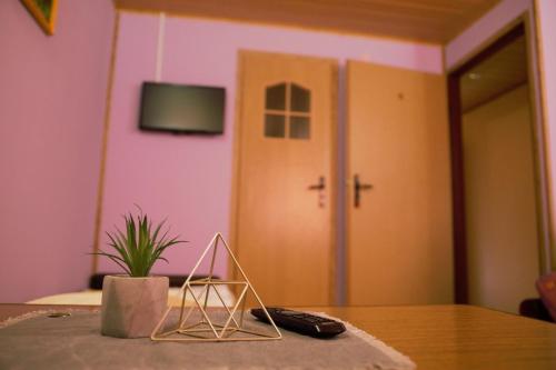 a room with a table with a plant and a television at U Jędrusia in Polańczyk
