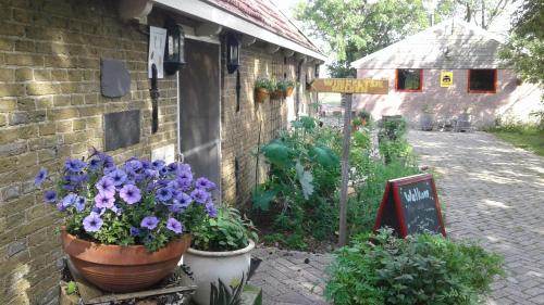 a garden with flowers in pots next to a building at 't Hokling in Boazum