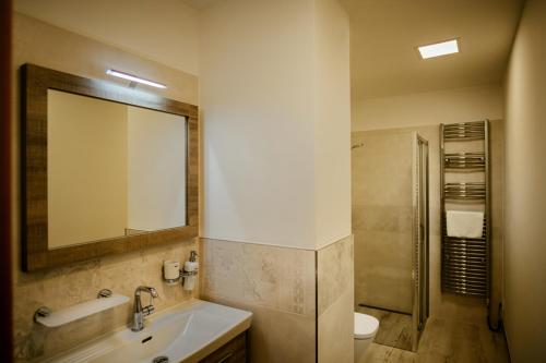 a bathroom with a sink and a toilet and a mirror at Hotel Akademie a depandance Vila Jarmila in Velké Bílovice