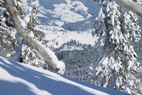 a snow covered mountain with a town in the distance at Arnica Montana in Arieşeni
