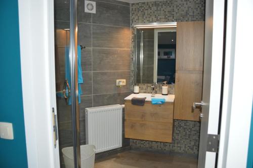 a bathroom with a sink and a mirror at Chez Vivi in Ans