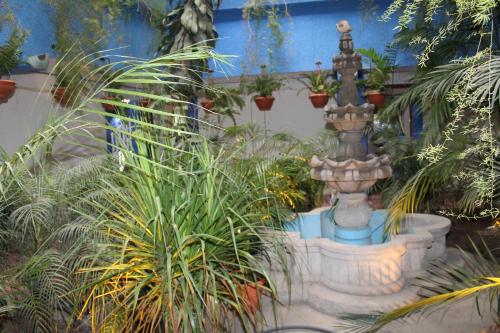 a fountain in the middle of a garden with plants at hotel kasa kamelot 2 in Quetzaltenango