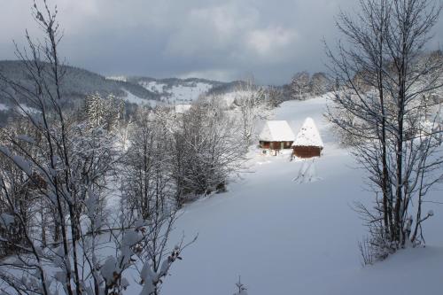 a house covered in snow in a snowy field at Arnica Montana in Arieşeni