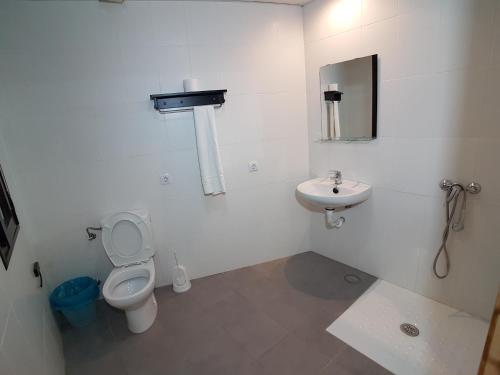 La salle de bains est pourvue de toilettes et d'un lavabo. dans l'établissement Hostal Mesón La Era, à Ríogordo