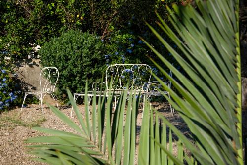 Habitación Cuádruple - vistas al jardín