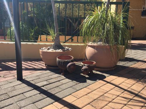 Fotografie z fotogalerie ubytování Felsenblick Self-Catering v destinaci Windhoek