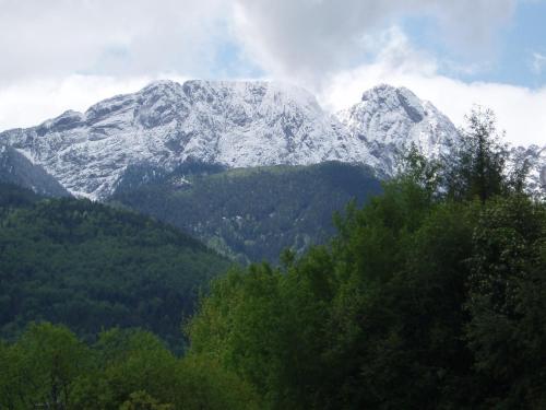 a snow covered mountain with trees in front of it at Rusałka in Zakopane