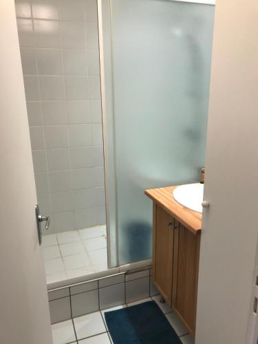 une salle de bain avec douche et lavabo dans l'établissement Appartement pied des pistes avec balcon & vue 6 personnes, à Orcières