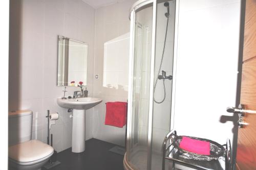 フォルミガルにあるApartamentos Tirolのバスルーム(シャワー、トイレ、シンク付)