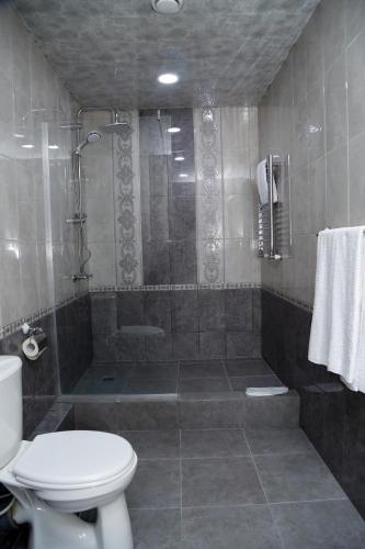 a bathroom with a shower and a toilet at Tomu's Hotel in Gyumri