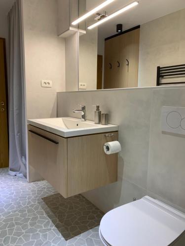 La salle de bains est pourvue d'un lavabo et de toilettes. dans l'établissement Apartment Center, à Bled