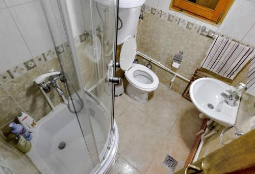a bathroom with a shower and a toilet and a sink at Lumber Apartments Kolašin in Kolašin
