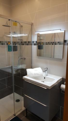 a bathroom with a sink and a shower at la source de bougival in Bougival