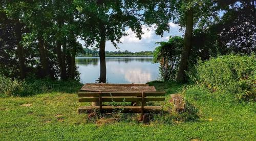 a wooden bench sitting in the grass next to a lake at Landlust Hotel in Gransee