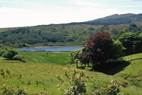 a view of a lake in a field with trees at The Wonderly Wagon in Fintown