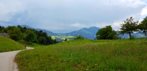 a dirt road through a field of grass with mountains at Apartma pri Boštjanu in Škofja Loka