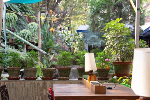 a lamp sitting on a table in a garden at Wander Thirst in Kathmandu