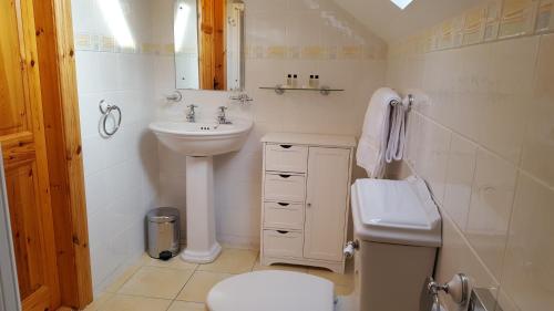 Headford的住宿－Leroy´s Lodge，白色的浴室设有水槽和卫生间。