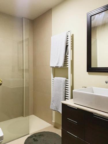 シエラネバダにあるSuperB Apartment Sierra Nevadaのバスルーム(洗面台、ガラス張りのシャワー付)