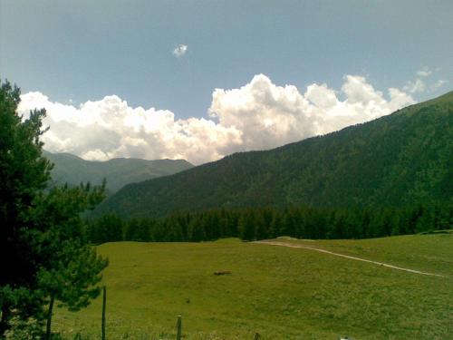 a green field with trees and mountains in the background at Guest House Mirgvela in Omalo