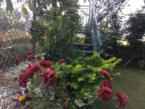 Un jardín fuera de Bishnu Homestay