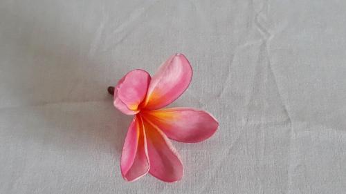 a pink flower sitting on top of a bed at Bujang Lapuk Hostel in Sekotong