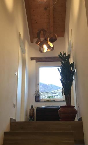 a stairway with a window and a potted plant at Il riccio di Ricciano in Casale Corte Cerro
