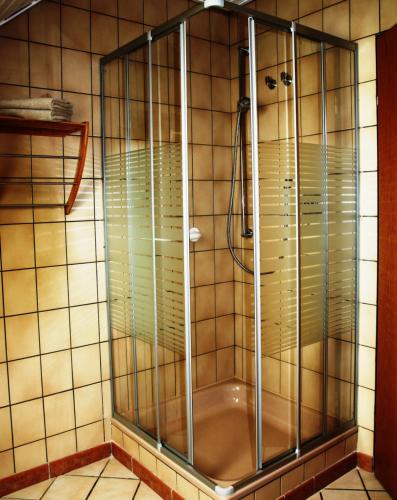 a shower with a glass door in a bathroom at Ferienwohnung Hohenholte in Havixbeck