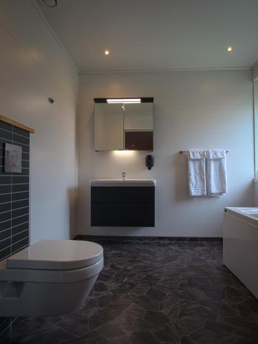 a bathroom with a toilet and a sink at STF Hemavans Fjällcenter in Hemavan