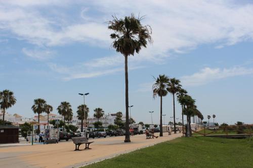 a park with palm trees and benches on a sidewalk at Apartamento Verano in Conil de la Frontera