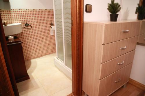uma casa de banho com um chuveiro e uma cómoda com um espelho. em Apartamento Céntrico Madrid Gran vía - Sol em Madri