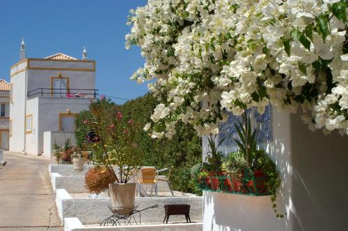 a bunch of white flowers hanging from a wall at Monte dos Avós Village - Pet Friendly in Tavira