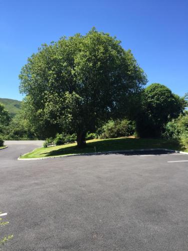 Gallery image of 2 Mile Lodge in Kenmare