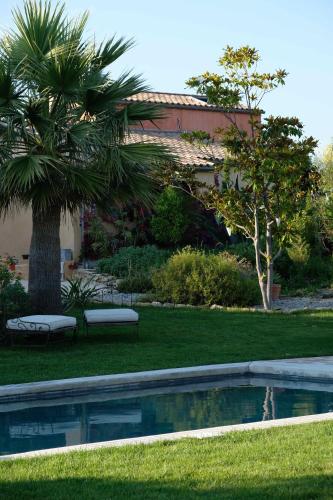 une maison avec un palmier et une piscine dans l'établissement Clos BB, à Saint-Cyr-sur-Mer