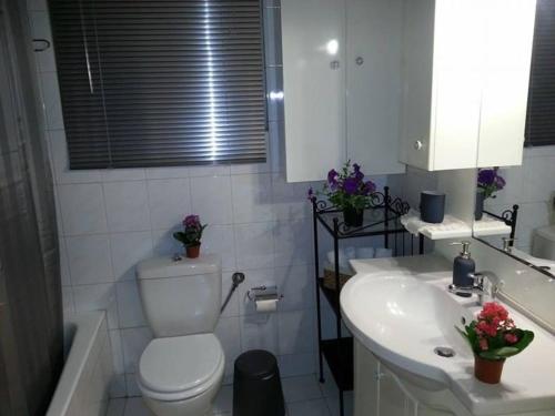 Lovely apartment near Akropolis and Plaka
