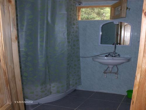 W łazience znajduje się umywalka oraz prysznic z lustrem. w obiekcie Guest House Mirgvela w mieście Omalo