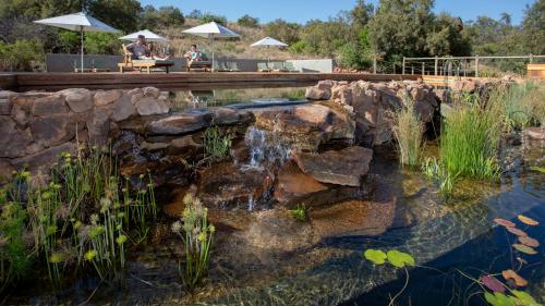 a pool with a waterfall in a garden with people sitting on a bench at Cradle Boutique Hotel in Lanseria