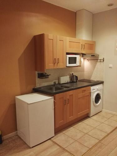 une cuisine avec un évier et un lave-vaisselle dans l'établissement Les Studios De La Place (Part-Dieu), à Lyon