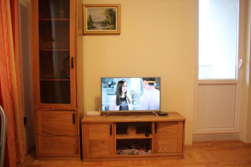 Una televisión o centro de entretenimiento en Apartman Francuskinje Elegant