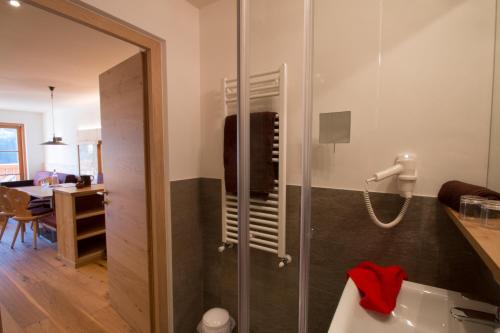 ein Bad mit einer Dusche und einem Waschbecken in der Unterkunft Trafunshof natural living in Vols am Schlern