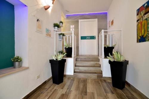 a hallway with potted plants on the walls at Modica Old Town Rooms in Modica