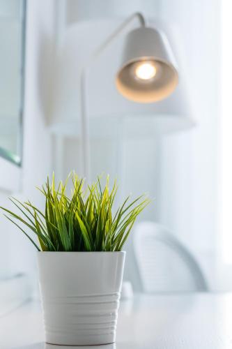 a white potted plant sitting on a counter with a light at Culture Residence Consalvo Otto in Naples