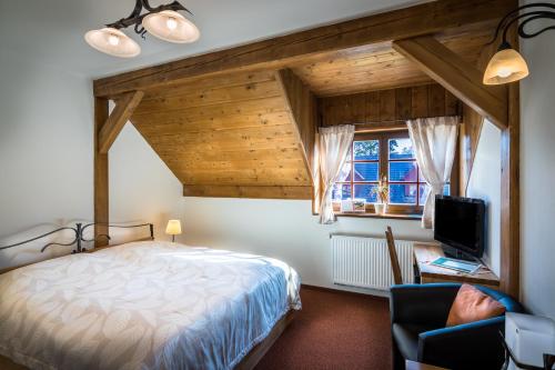 sypialnia z łóżkiem i telewizorem w pokoju w obiekcie Wellness Hotel Holzberg w mieście Suchá Rudná