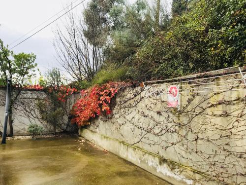 Φωτογραφία από το άλμπουμ του Puerta de Sobrarbe - Torreciudad σε El Grado